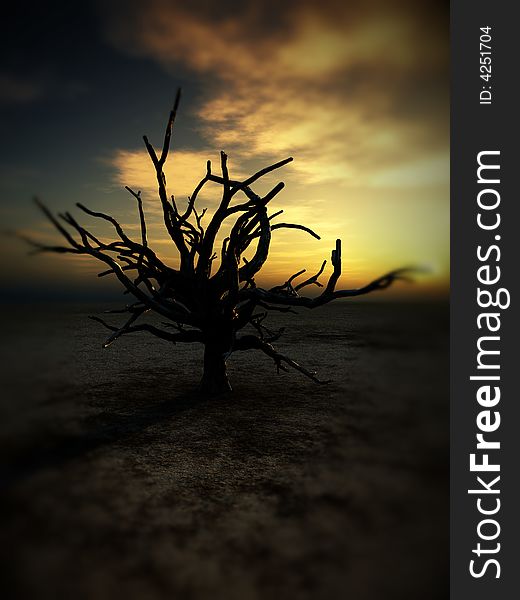 An image of a dead tree within a barren wilderness landscape, whilst the sunsets or rises in the background. An image of a dead tree within a barren wilderness landscape, whilst the sunsets or rises in the background.