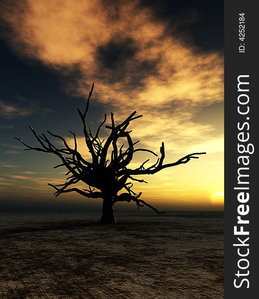 An image of a dead tree within a barren wilderness landscape, whilst the sunsets or rises in the background. An image of a dead tree within a barren wilderness landscape, whilst the sunsets or rises in the background.