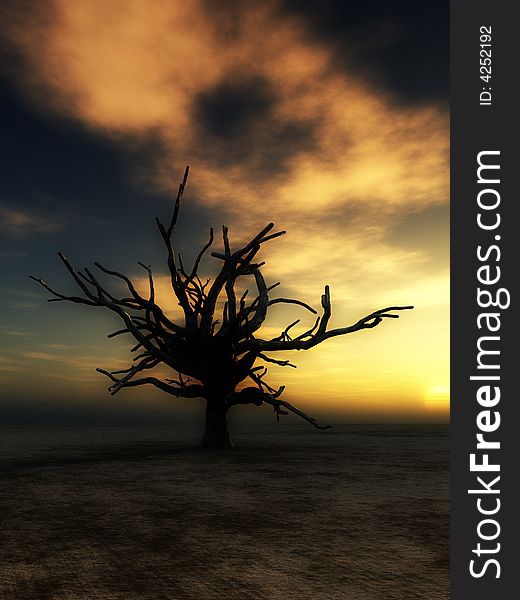 An image of a dead tree within a barren wilderness landscape, whilst the sunsets or rises in the background. An image of a dead tree within a barren wilderness landscape, whilst the sunsets or rises in the background.