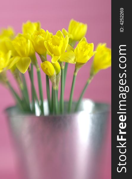Bright springtime flower with special focus effect. Bright springtime flower with special focus effect