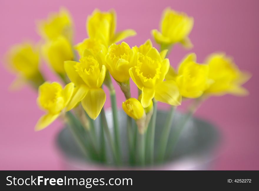 A pail of yellow daffodils with selective focus