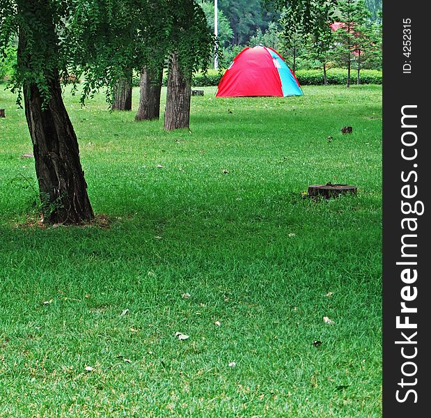 Tent, trees and meadow in a park, Shengyang city, China. Tent, trees and meadow in a park, Shengyang city, China