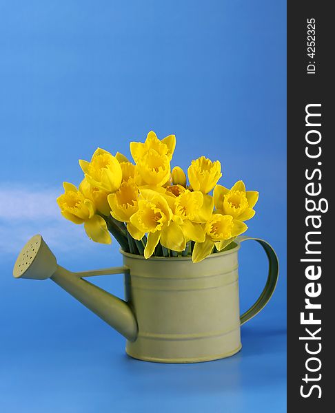 A bouquet of vibrant yellow daffodils with a blue sky