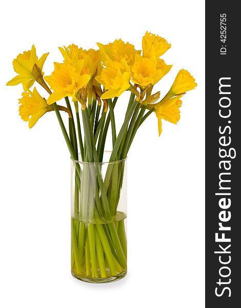 Yellow daffodils in a vase. Taken on a clean white background. Yellow daffodils in a vase. Taken on a clean white background.