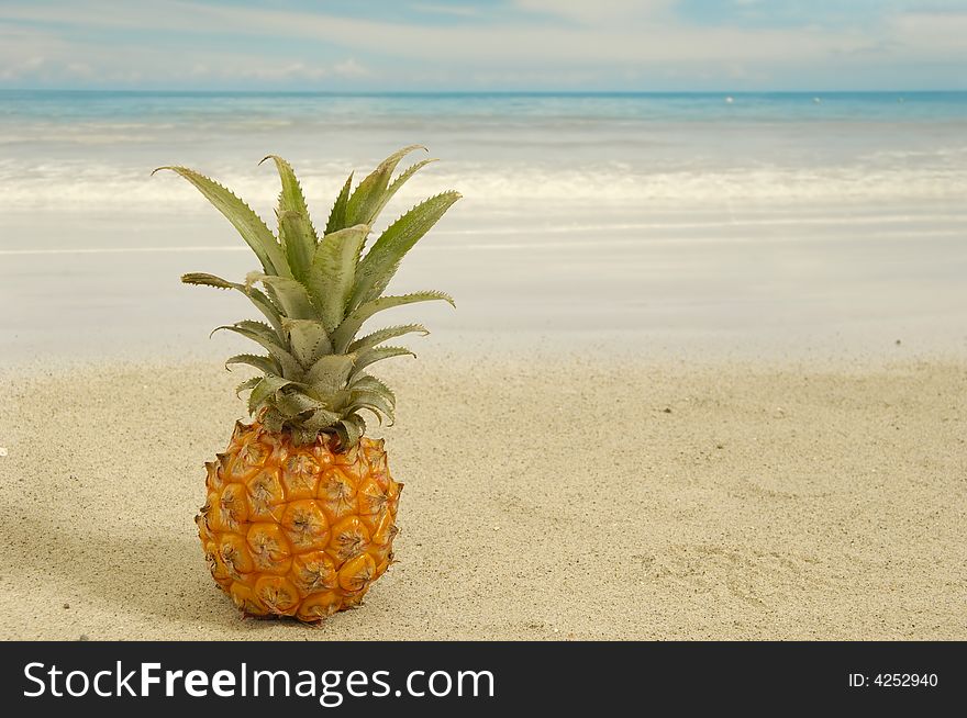 Pineapple on an exotic beach with blue and cloudy sky. Pineapple on an exotic beach with blue and cloudy sky.