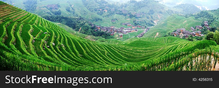 Terraced Field And Village