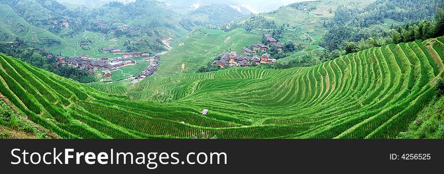 Terraced field and village