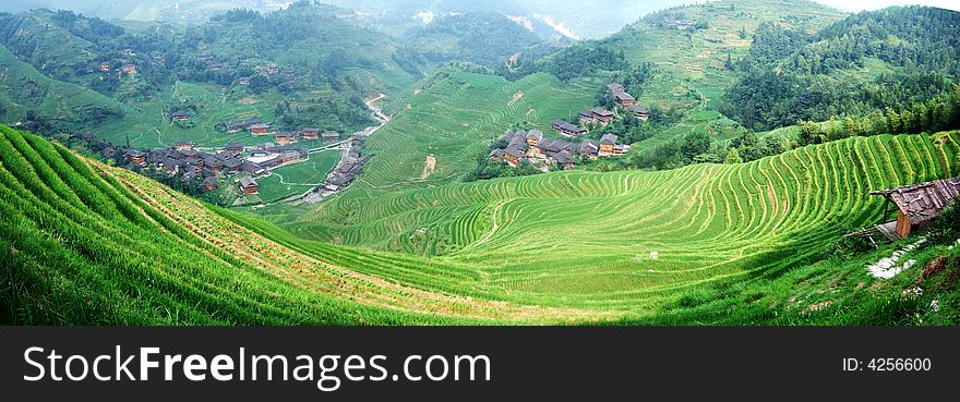 Terraced field and village