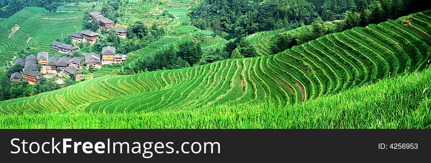 Terraced field and village in GuiLin, GuangXi, China