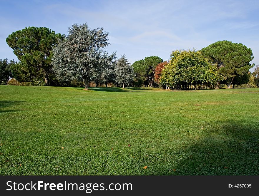 Early Autumn in the park