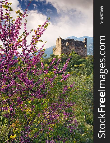 Image shows the ruins of an old tower in Mani peninsula, Greece, behind a violet flower tree. Image shows the ruins of an old tower in Mani peninsula, Greece, behind a violet flower tree