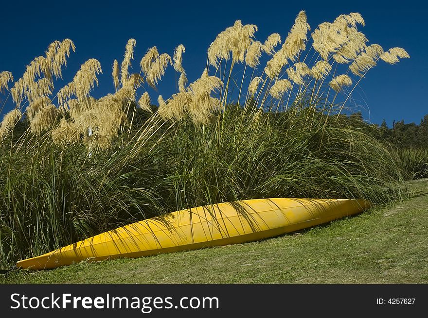 Kayak resting in a shadow of native New Zealand plant. Summer concept. Kayak resting in a shadow of native New Zealand plant. Summer concept