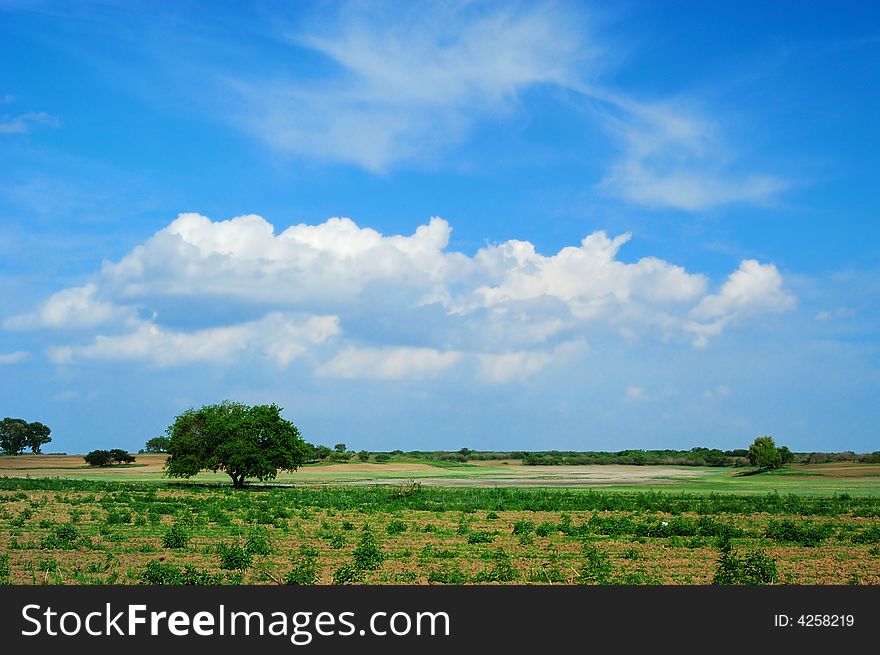 Spring countryside with green fields, cloudy blue sky