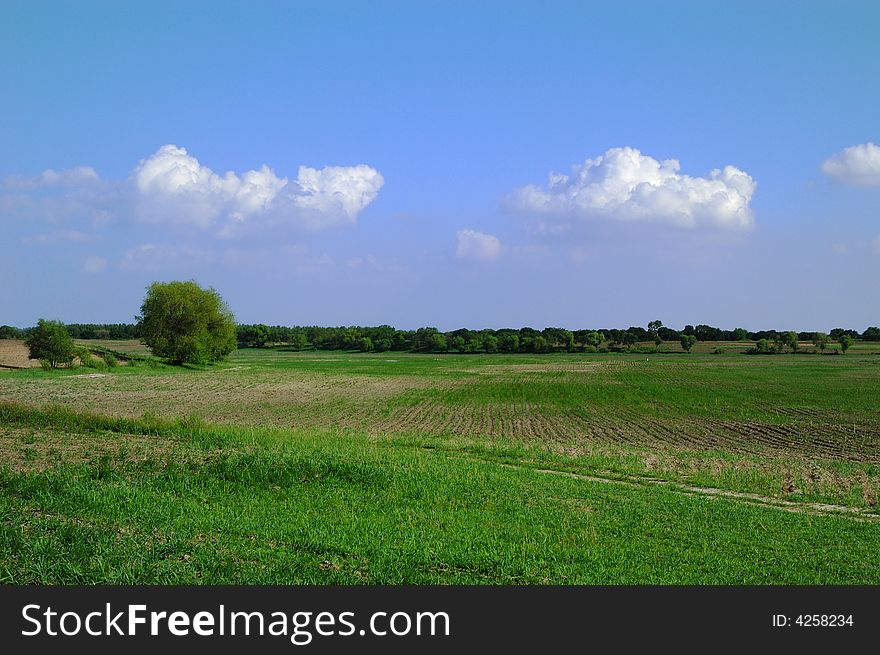 Spring countryside with green fields, cloud blue sky. Spring countryside with green fields, cloud blue sky