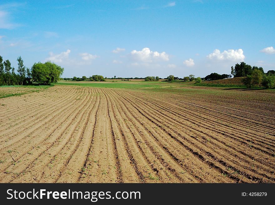 Spring countryside with furrow fields, cloudy blue sky