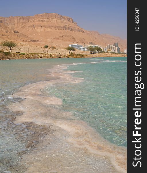 Coastline Of The Dead Sea