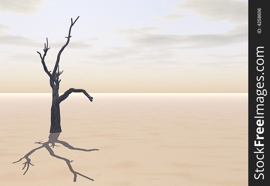 Alone Tree on flat arid Desert. Alone Tree on flat arid Desert.