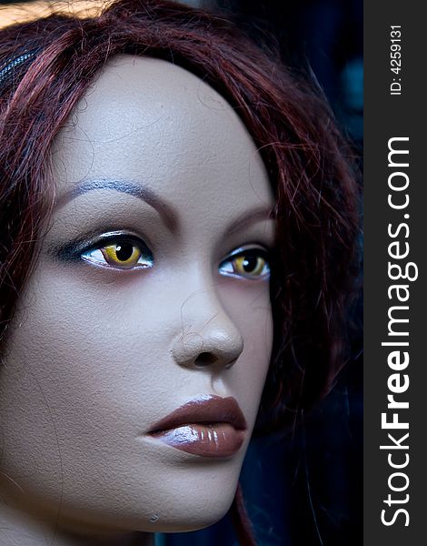 Female portrait model doll close up macro. Female portrait model doll close up macro