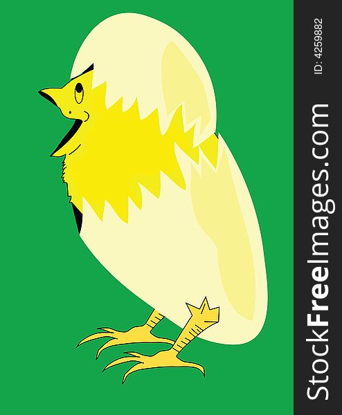 Chicken in egg on green background