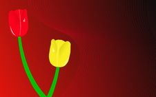 Red And Yellow Tulips Stock Photography Red And Yellow Tulips Stock Photography
