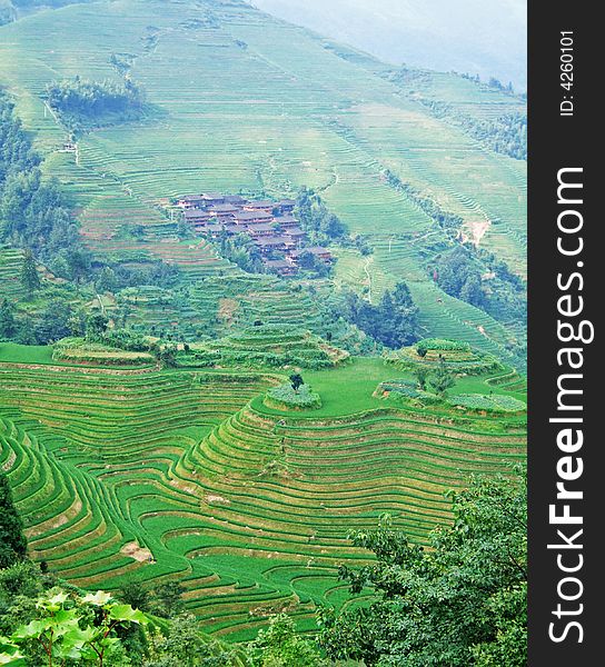 Terraced field and village