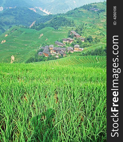 Terraced field and village