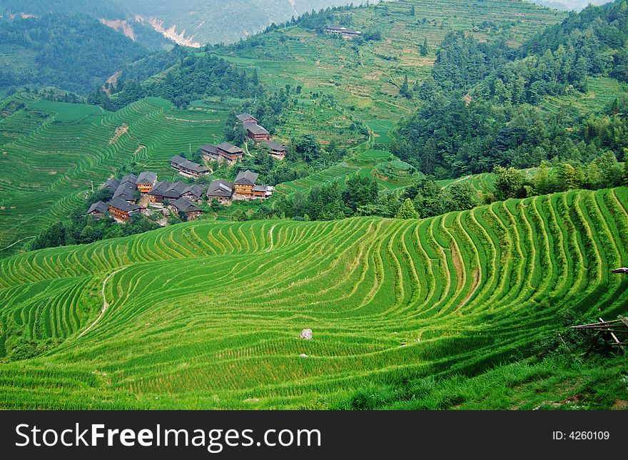 Terraced field and village in GuiLin, GuangXi, China