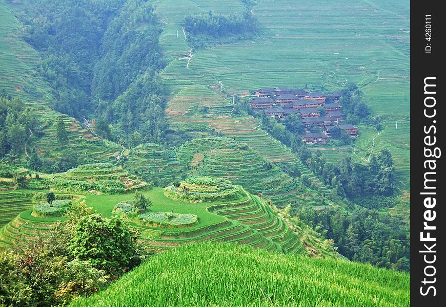 Terraced field and village