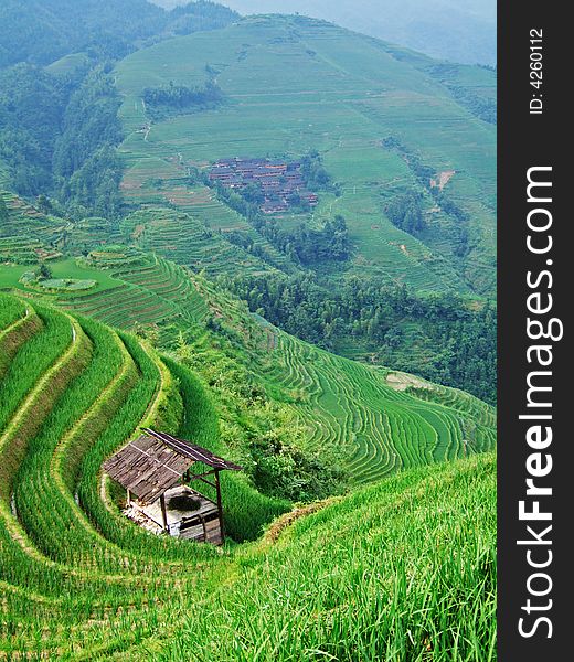 Terraced field and village in GuiLin, GuangXi, China