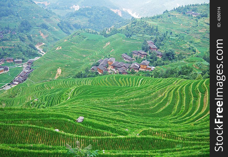 Terraced field and village