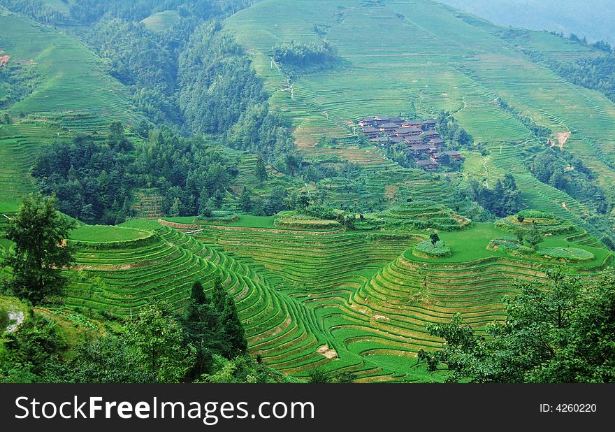 Terraced field and village