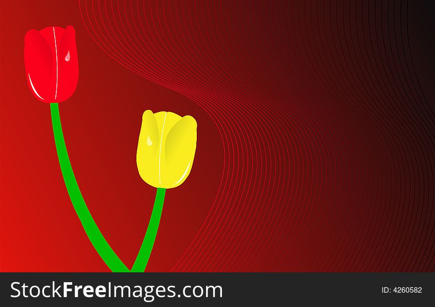 Red and yellow tulips, vector illustration