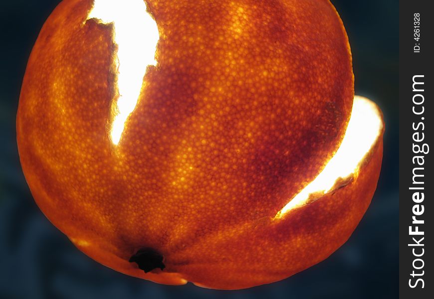 The peel of a tangerine covered from within by bright light