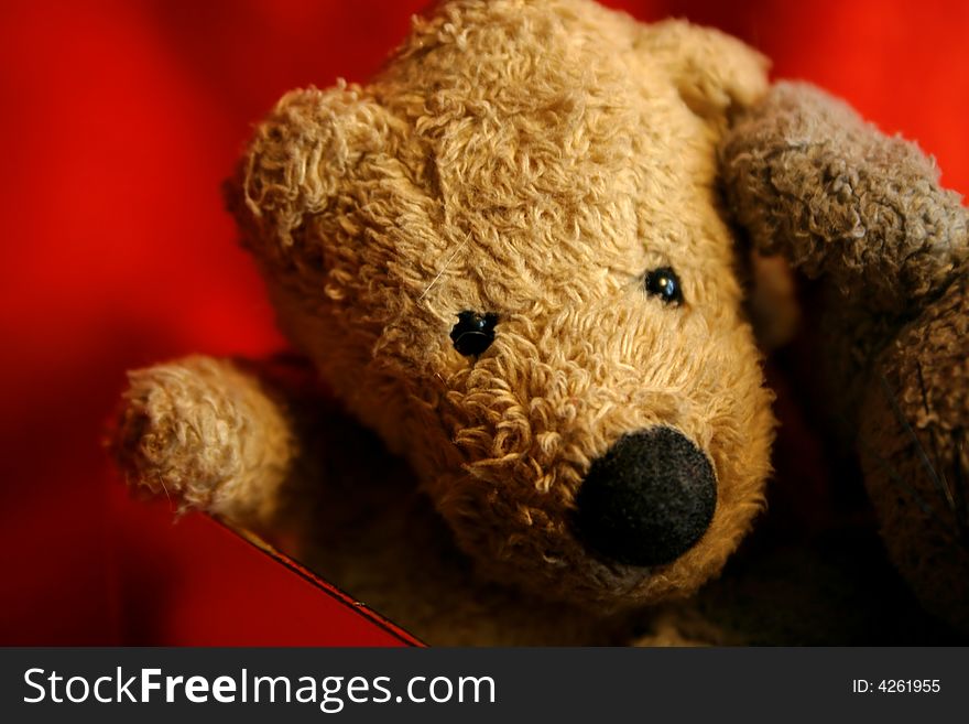 Yearning Teddy Bear on the red background. Yearning Teddy Bear on the red background