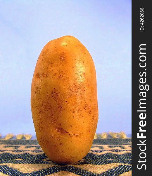 Standing Potato /B