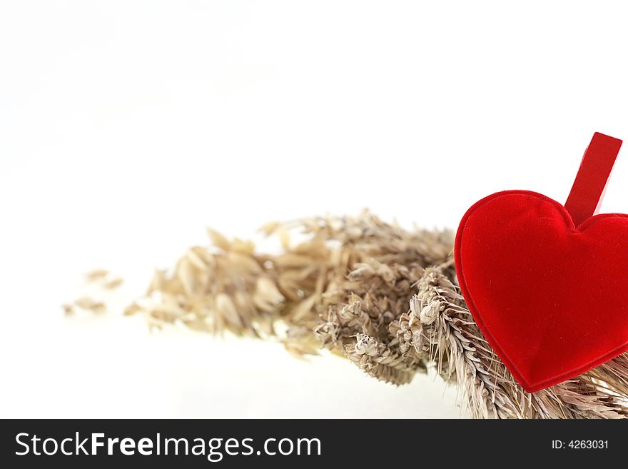 Image from holiday series: heart and crop on white



handicraft, house: color doily on white background