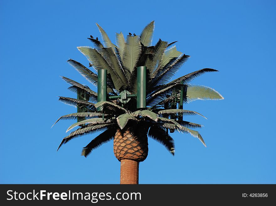 A cell phone tower camouflaged as a palm tree. A cell phone tower camouflaged as a palm tree