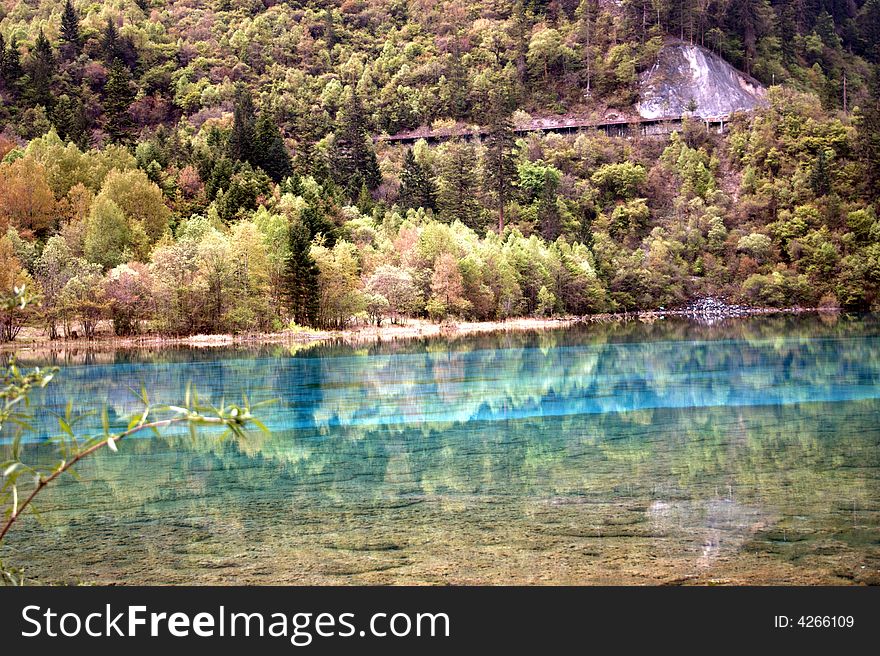 Inverted image of trees in blue water of lake,JiuZhai, SiChuan, China. Inverted image of trees in blue water of lake,JiuZhai, SiChuan, China