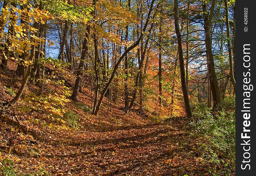 An Autumn path through the woods in the Pocono Mountain of Pennsylvania. An Autumn path through the woods in the Pocono Mountain of Pennsylvania.