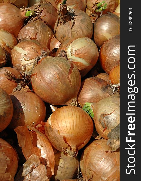 Onion Background