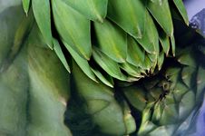 Artichoke Reflected In Stainless Steel Stock Image