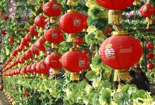 Red Lantern In New Year. Royalty Free Stock Photography Red Lantern In New Year. Royalty Free Stock Photography