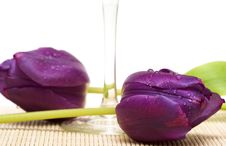 Violet Flowers And Glass Royalty Free Stock Photography Violet Flowers And Glass Royalty Free Stock Photography