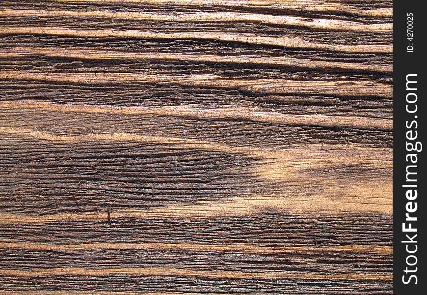 The structure of wood is photographed close up. The structure of wood is photographed close up