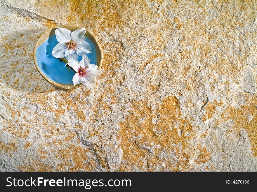 Almond flowers in a small bowl on stone background. Almond flowers in a small bowl on stone background