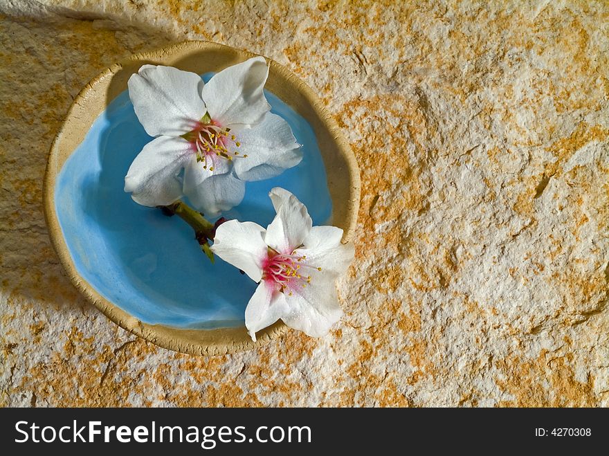 Almond flowers on stone background