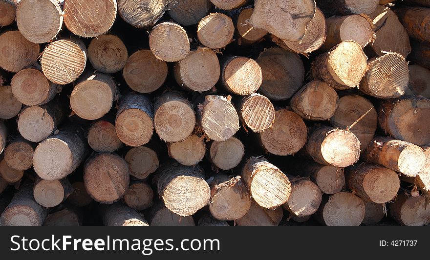 A wood pile with stacked wood at a lumber yard