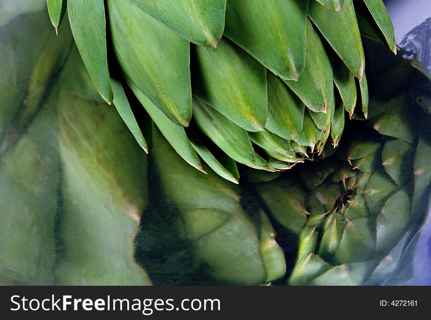 Artichoke Reflected In Stainless Steel