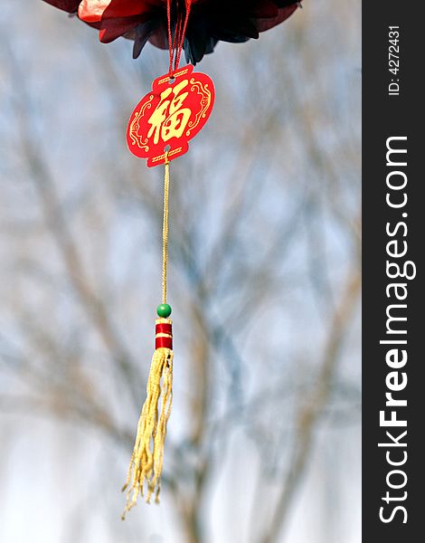 Good Fortune  of China in New Year.
During Chinese New Year, such a mascot is hung everywhere.