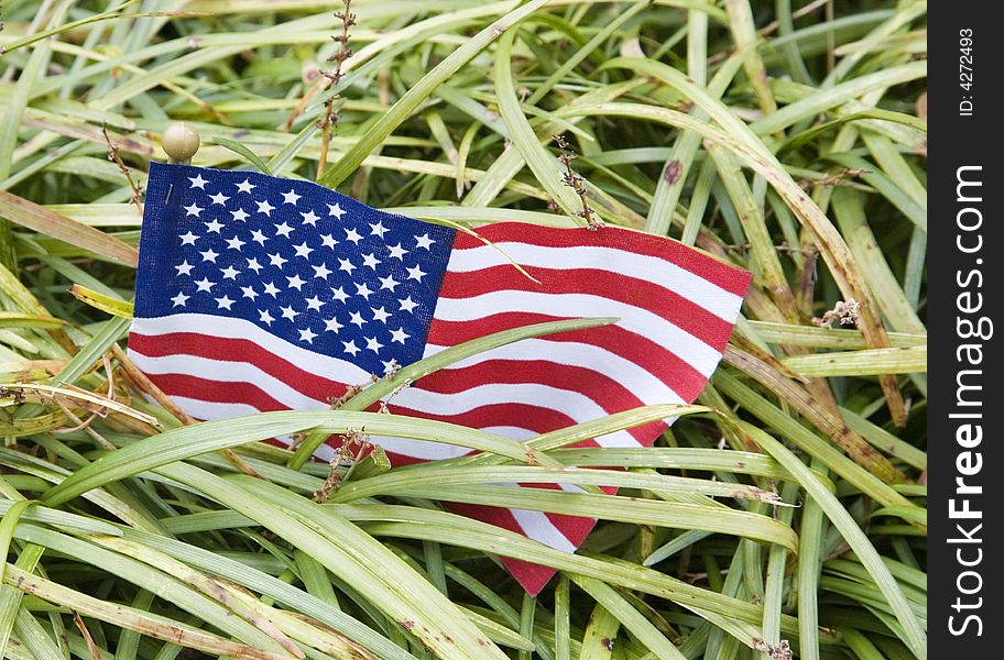 A small U.S. flag partially hidden in foliage. A small U.S. flag partially hidden in foliage